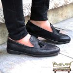 کالج منگوله دار پوست ماری