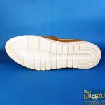 کالج کرم رنگ