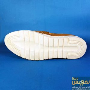 کالج کرم رنگ