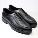 کفش مردانه هشترک alex