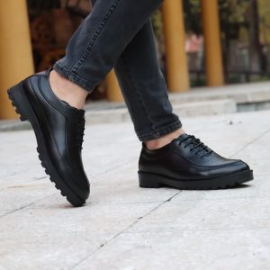 کفش مردانه هشترک alex