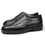 کفش مردانه هشترک alex