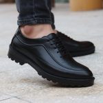 کفش مردانه هشترک alex