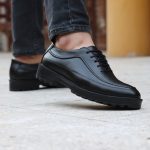 کفش مردانه هشترک alex