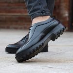 کفش مردانه هشترک alex